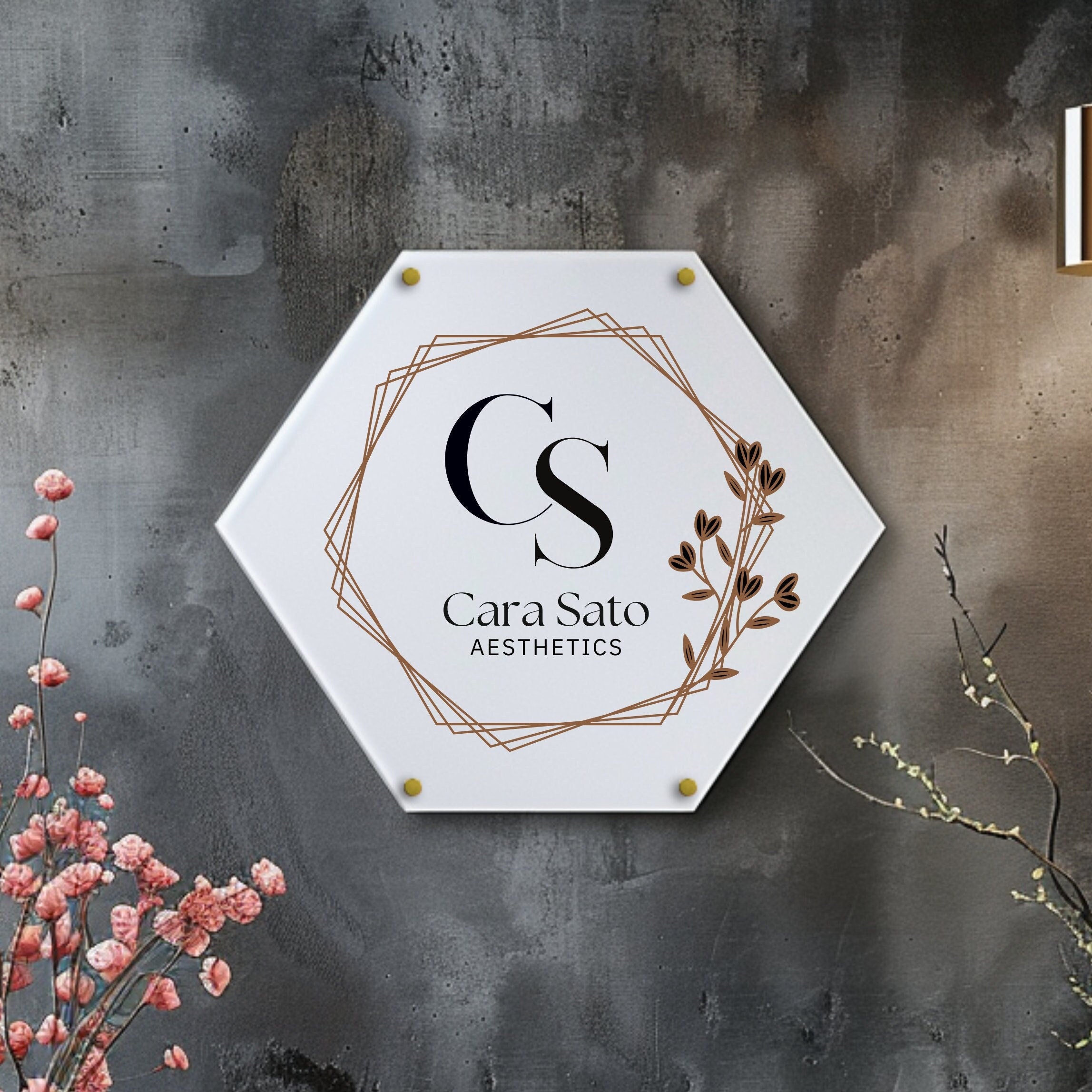 hexagon shape acrylic business logo sign, personalised name plaque, wall mounted