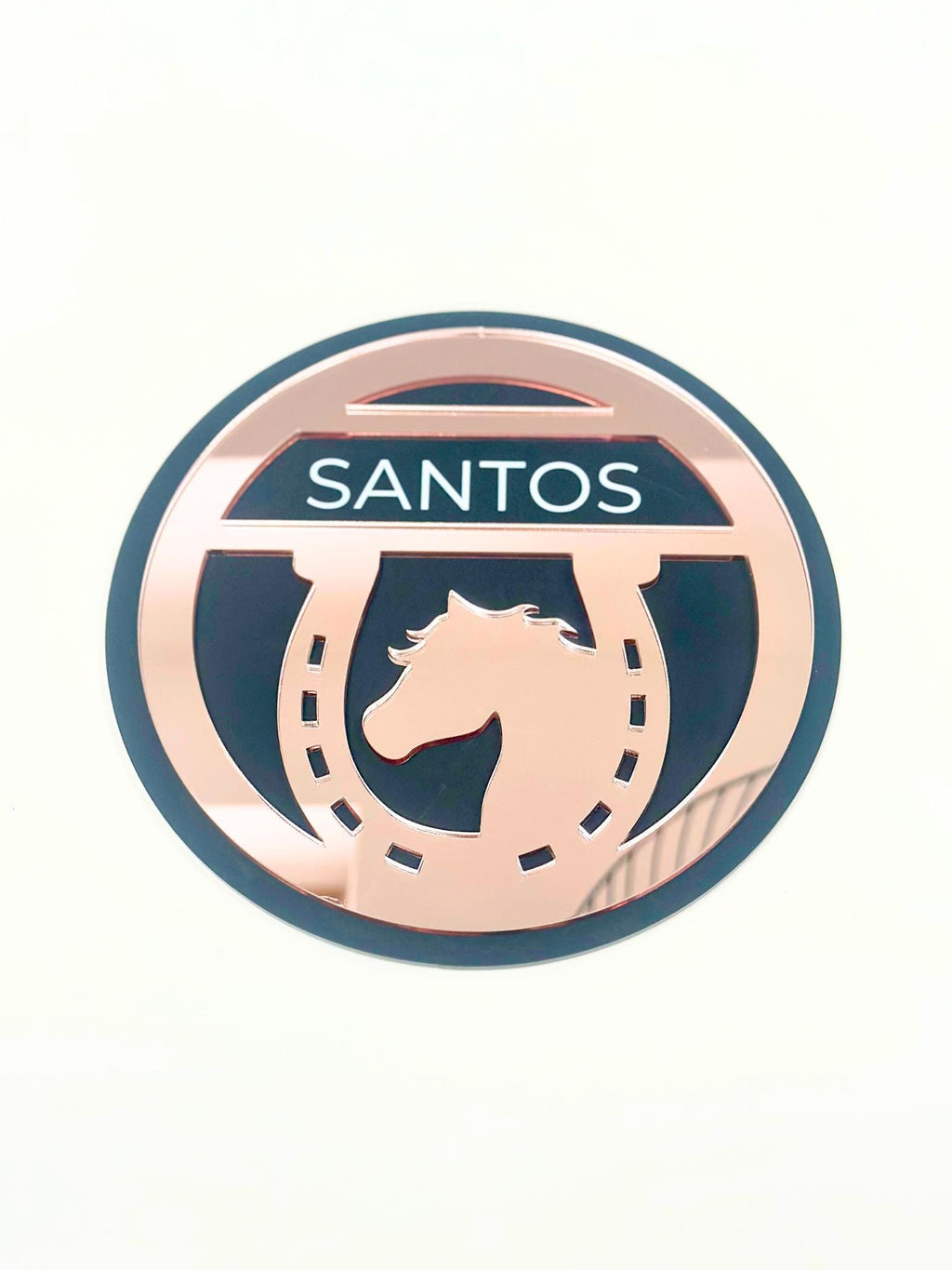 "Personalized horse stable sign featuring various font styles and mirror acrylic finishes, perfect for stables and barn