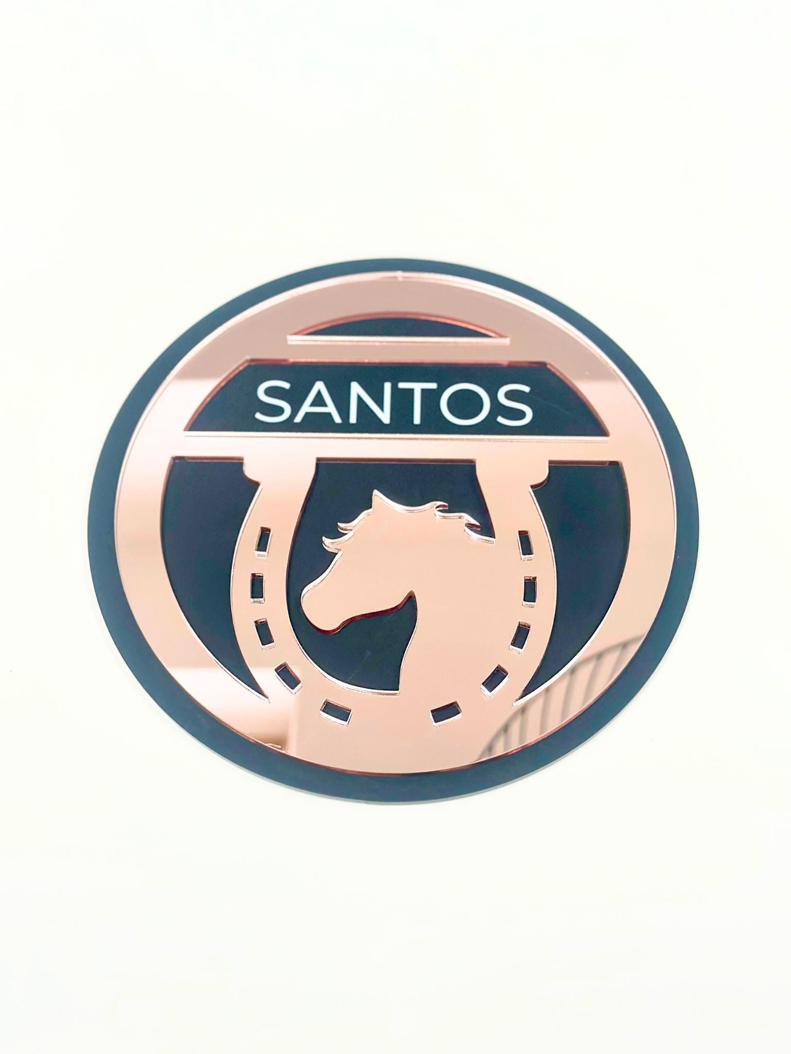 "Personalized horse stable sign featuring various font styles and mirror acrylic finishes, perfect for stables and barn