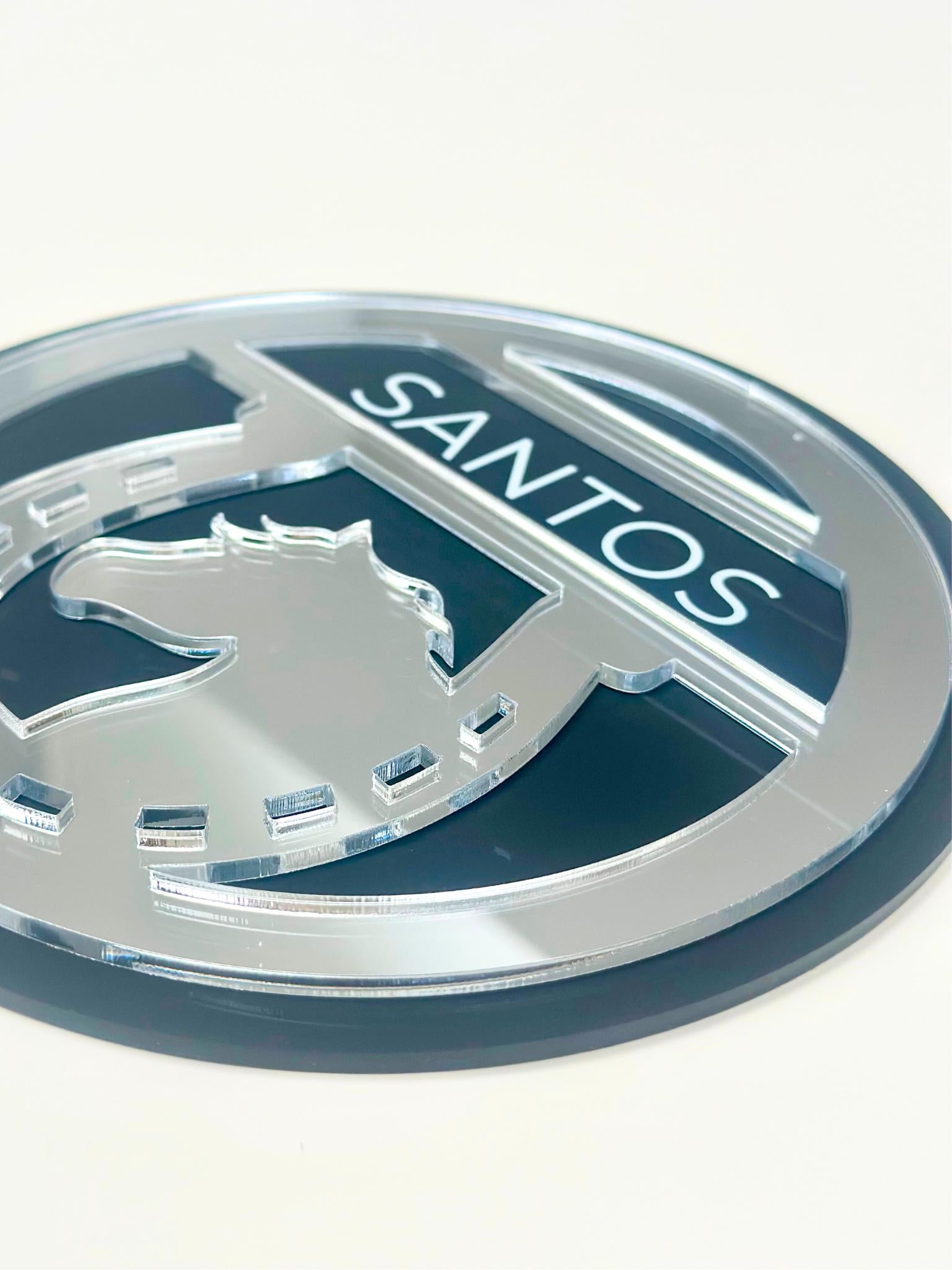 Close-up of a custom mirror acrylic horse nameplate with precise UV-printed white lettering, showcasing high-quality craftsmanship.