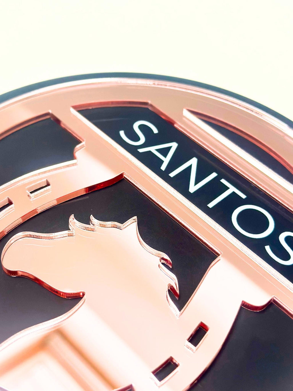 Close-up of a custom mirror acrylic horse nameplate with precise UV-printed white lettering, showcasing high-quality craftsmanship.