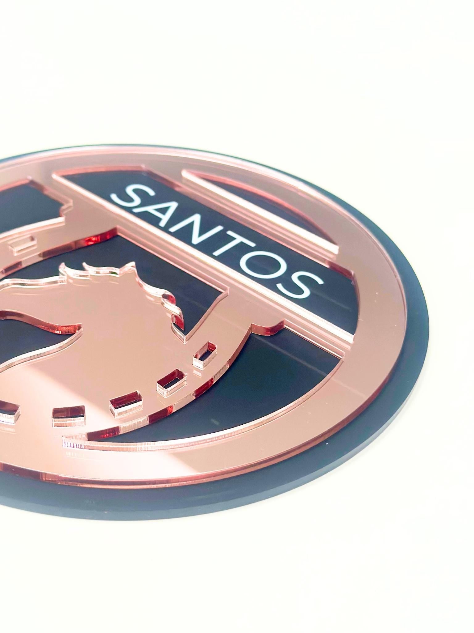 Close-up of a custom mirror acrylic horse nameplate with precise UV-printed white lettering, showcasing high-quality craftsmanship.